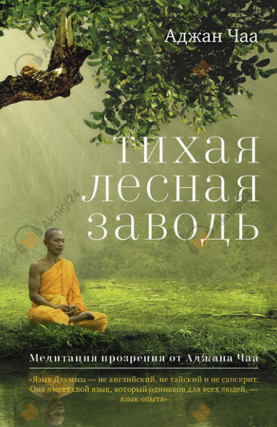 Тихая лесная заводь