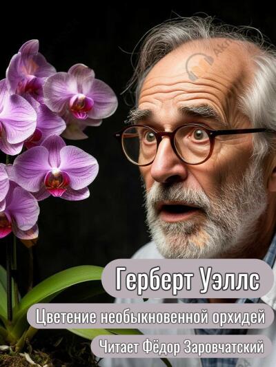Уэллс Герберт – Цветение необыкновенной орхидеи