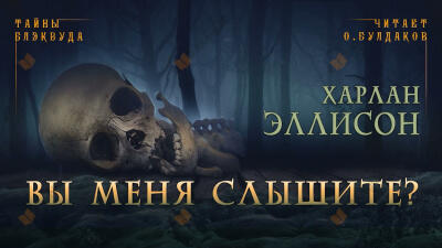 Вы меня слышите?