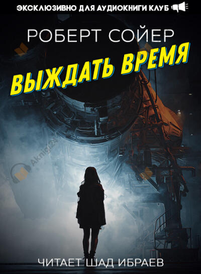 Выждать время