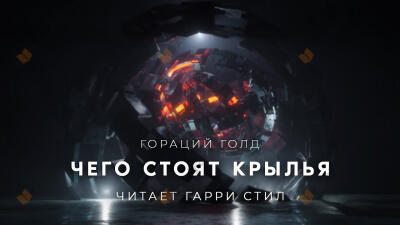 Чего стоят крылья
