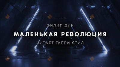 Маленькая революция