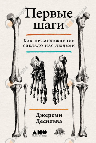 Первые шаги