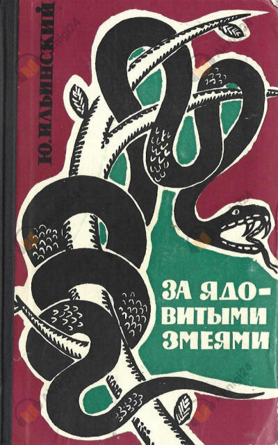 За ядовитыми змеями