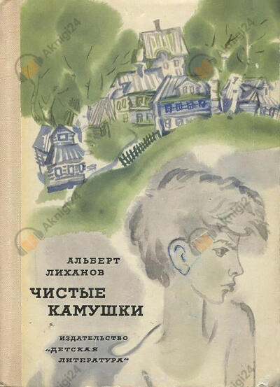 Чистые камушки