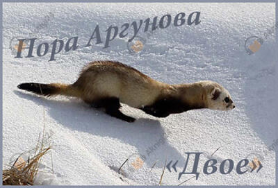 Двое