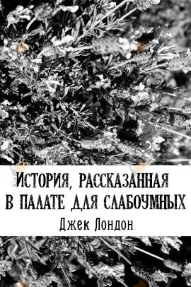 История, рассказанная в палате для слабоумных