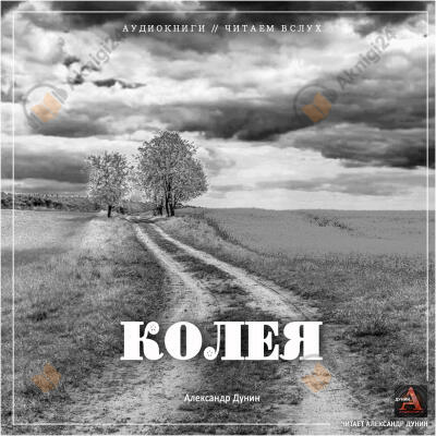 Колея