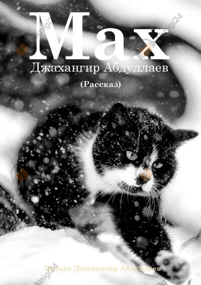Макс