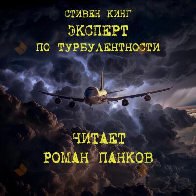 Эксперт по турбулентности