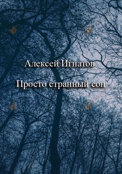 Просто странный сон