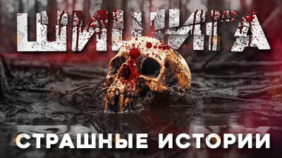 Шишига