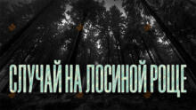Случай на Лосиной Роще